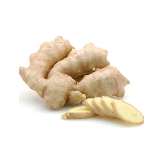 Zencefil